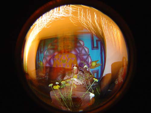 DSC02406