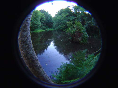 DSC02408
