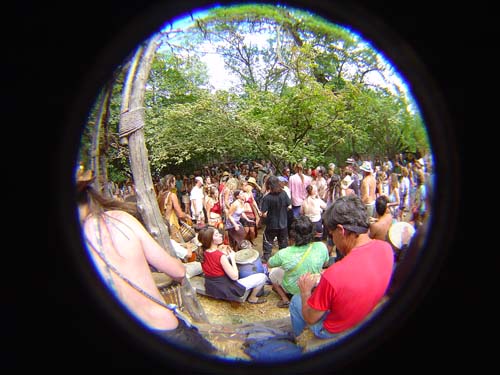 DSC03176