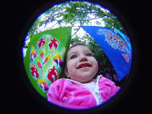 DSC03219