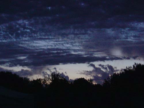 DSC03313