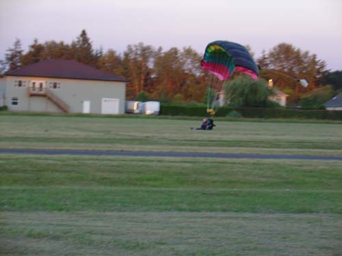 DSC02520