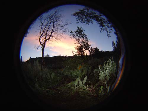DSC02776