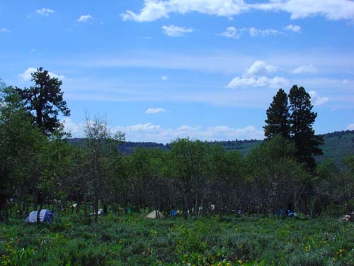 DSC02783