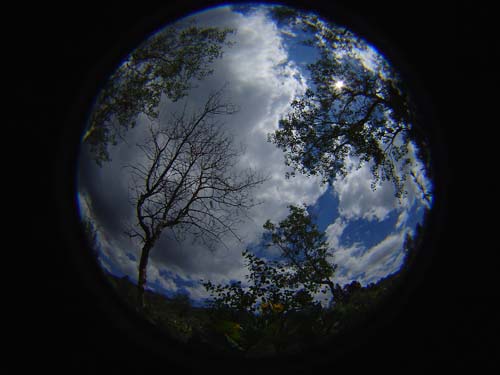 DSC02845