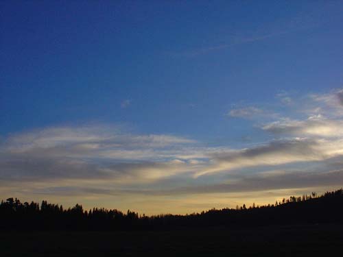DSC02881