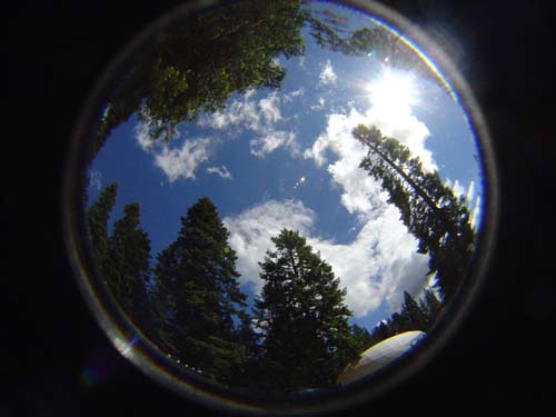 DSC04011