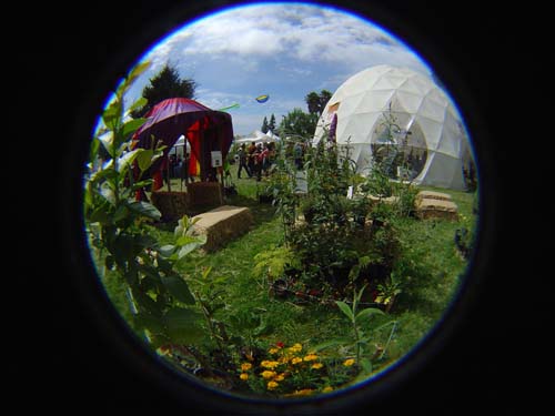 DSC03953