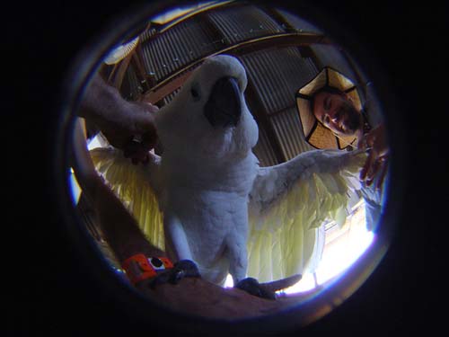 DSC04583