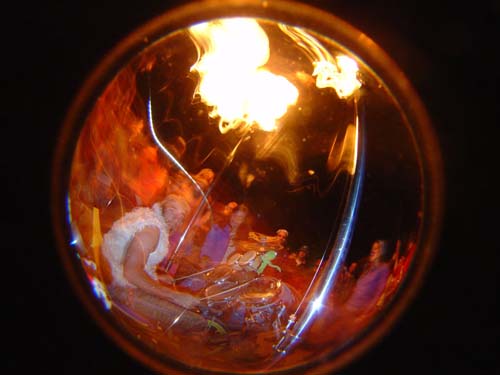 DSC04617