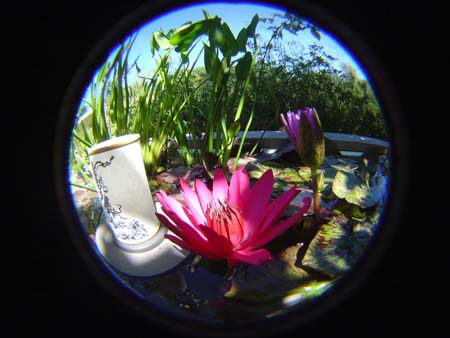 DSC04808