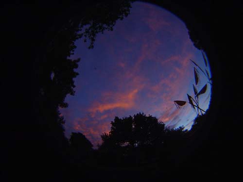 DSC04925