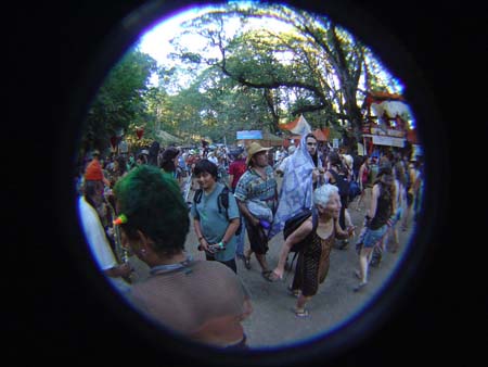 DSC04954