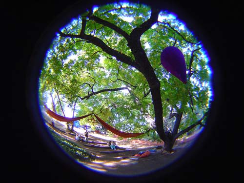 DSC06711
