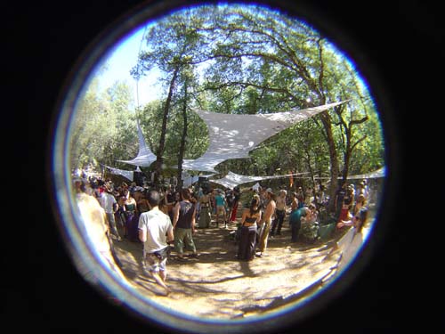 DSC06718