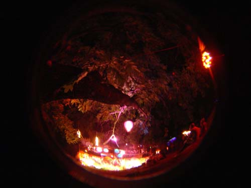 DSC06739