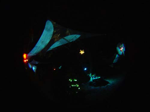 DSC06785