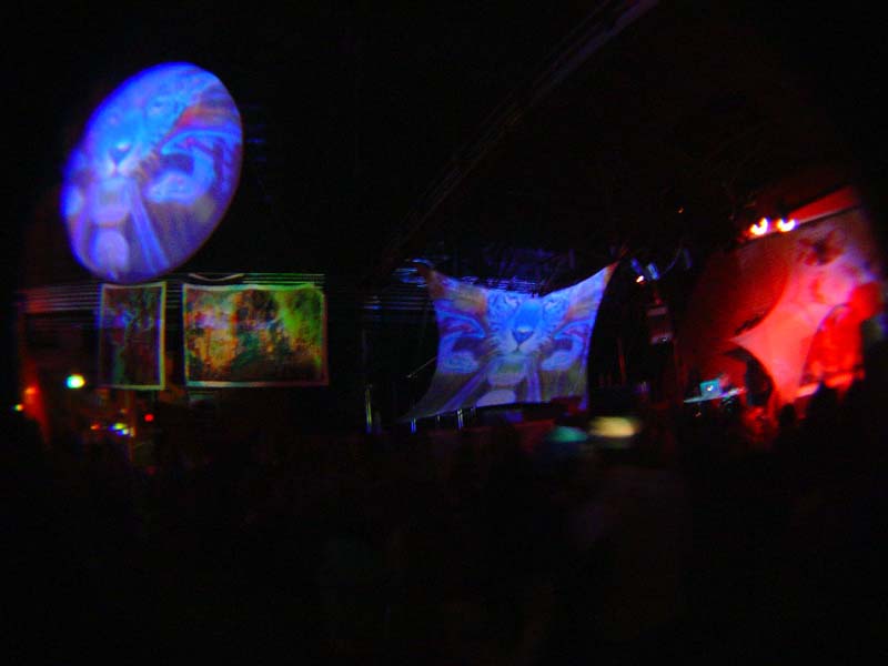 DSC08556