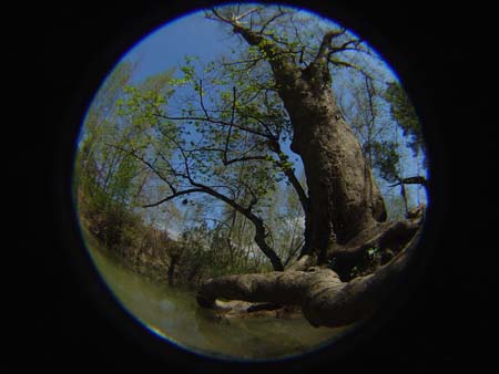 DSC01599