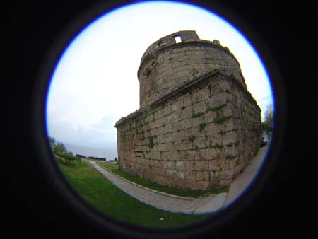 DSC01726