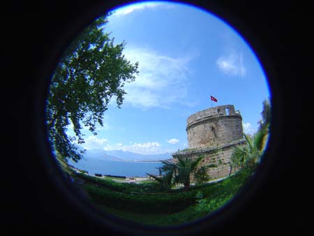 DSC01753