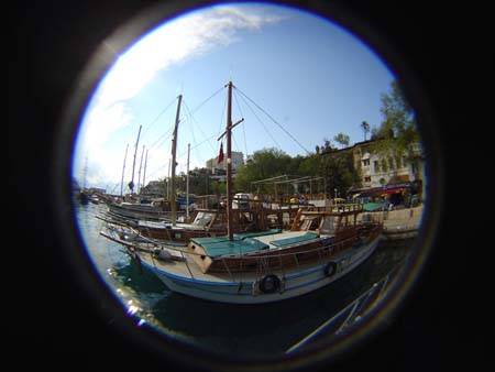 DSC01772