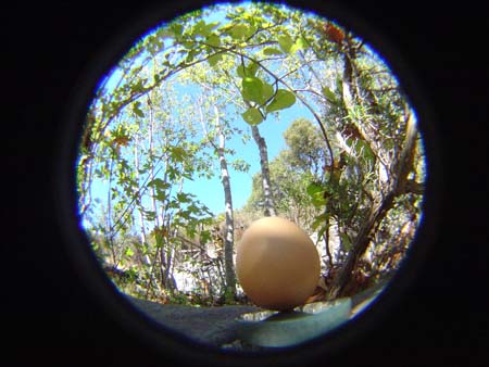 DSC01834