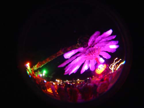 DSC06031