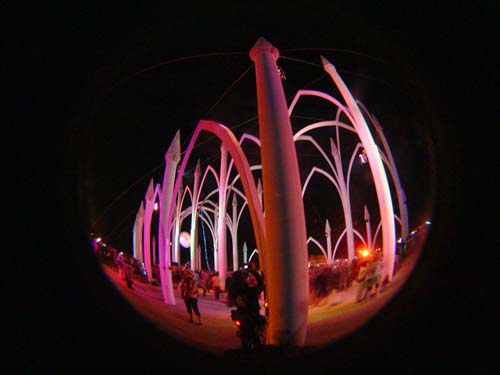 DSC06238
