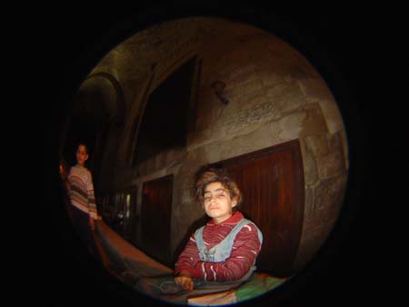 DSC01811