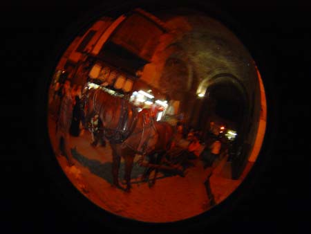 DSC01813