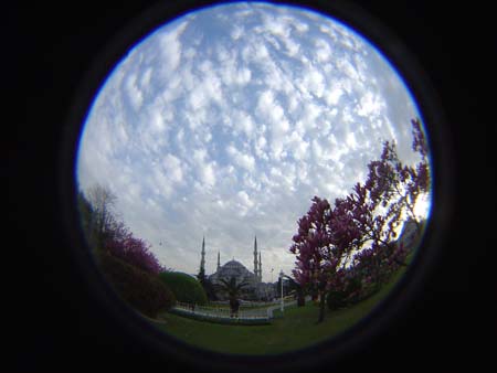 DSC03006
