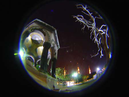 DSC03067