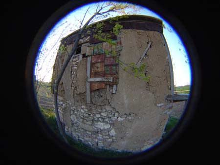 DSC03384
