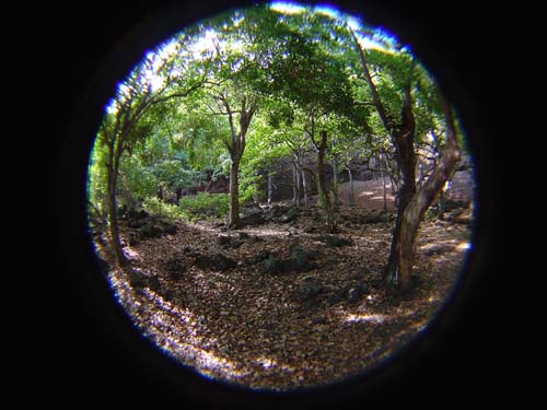 DSC05146