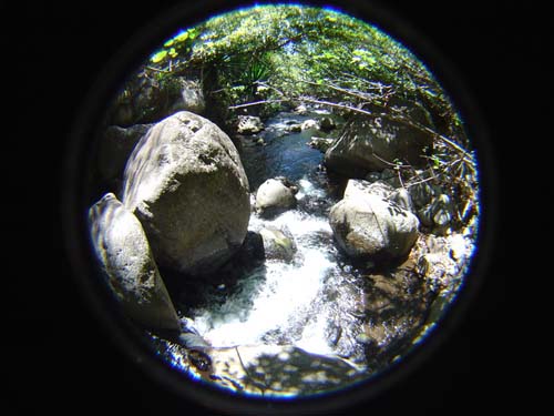 DSC05151