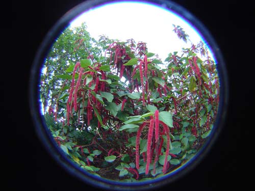 DSC05173