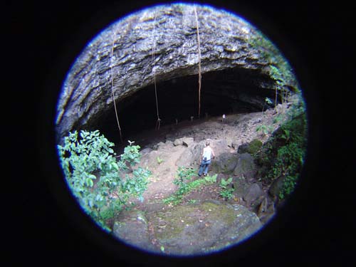 DSC05198