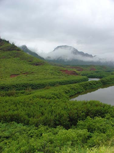 DSC05207