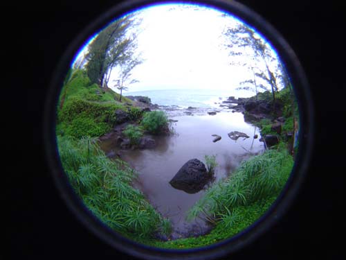 DSC05226