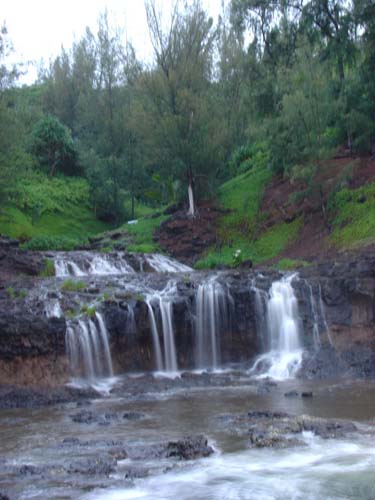 DSC05240
