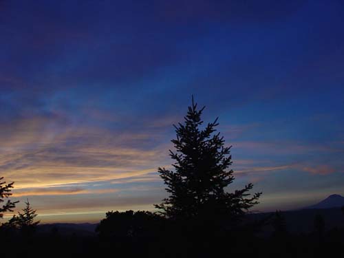 DSC05330
