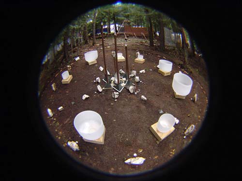 DSC05461