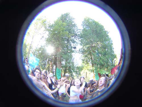 DSC05552