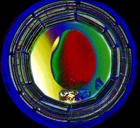 egg-frame-circle-c