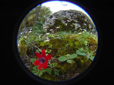 DSC01608